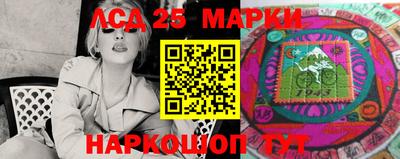 гашик Кулебаки