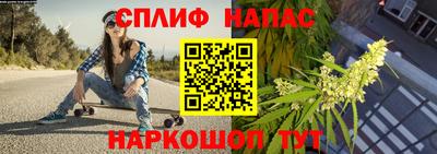 гашик Кулебаки