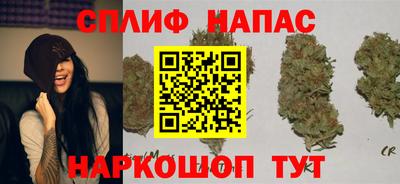 гашик Кулебаки