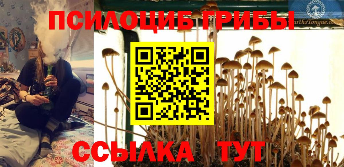 Псилоцибиновые грибы MAGIC MUSHROOMS  Вход с VPN  Псилоцибиновые грибы Magic Shrooms  Кирово-Чепецк 
